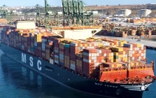 国际海运，海运公司