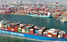 国际海运，印度船司