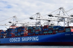 国际海运旺季提前 “夭折”（太平洋集装箱运价再现暴跌）