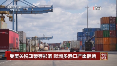 欧洲港口全面瘫痪，船公司火速涨价应对，危机或将持续数月！