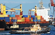 国际海运，船公司