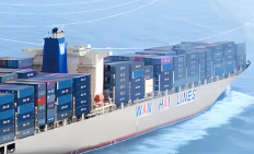 万海、长荣、阳明，国际海运