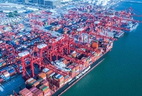 重磅！国际海运萨凡纳港推快速航线系统（助力供应链效率飞跃）