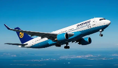 东南亚航线国际空运需求激增30%（多家航司加密班次）