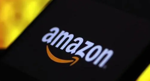 亚马逊新手卖家选品请注意（这些品类亚马逊新手卖家尽量不要碰）