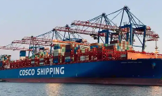 国际海运，航运公司