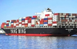 国际海运，阳明海运