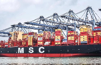 国际海运，msc