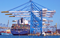 2025年9月集运报告：北美先涨后跌，北极新航线能否破局（国际海运新闻资讯）