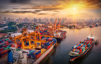 海运货物的包装有哪些基本要求？（不同品类有差异吗）