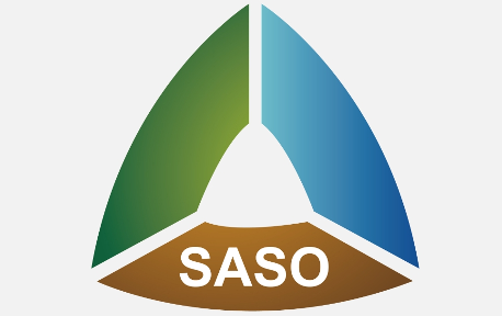 国际物流出口沙特阿拉伯国家一定要注意这些问题（出口沙特必不可少的单证有哪些）