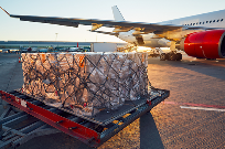 国际空运,临时订舱 国际空运,临时订舱