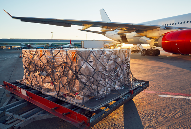 国际空运 国际空运