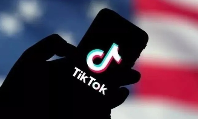 TikTok独立站引流注意事项有哪些（内附选品的四个重要维度）