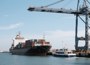 国际海运专线模式解析：普船与快船的优缺点及适用品类