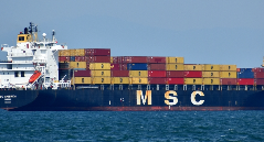 滞港费、VGM罚款，国际海运