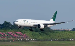 跨境电商，国际空运，美国空派