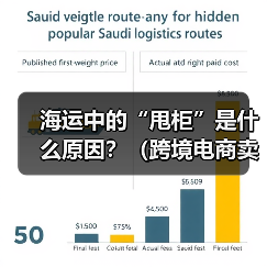 海运中的“甩柜”是什么原因?(跨境电商卖家怎么避免和应对) 海运中的“甩柜”是什么原因?(跨境电商卖家怎么避免和应对)