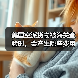 美国空派货物被海关查验时，会产生哪些费用？（货主货代请注意）