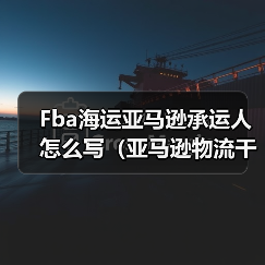 Fba海运亚马逊承运人怎么写（亚马逊物流干货知识分享）