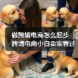 做跨境电商怎么起步（跨境电商小白卖家看过来）