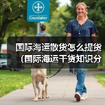 国际海运散货怎么提货（国际海运干货知识分享）