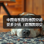 中国寄东西到德国空运要多少钱(德国国际空运运费是多少) 中国寄东西到德国空运要多少钱(德国国际空运运费是多少)