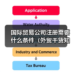 国际贸易公司注册需要什么条件(外贸干货知识分享) 国际贸易公司注册需要什么条件(外贸干货知识分享)