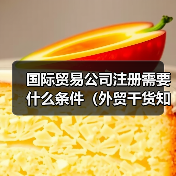 国际贸易公司注册需要什么条件(外贸干货知识分享) 国际贸易公司注册需要什么条件(外贸干货知识分享)