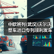 中欧班列(武汉)沃尔沃整车进口专列顺利发车（图4）