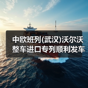 中欧班列(武汉)沃尔沃整车进口专列顺利发车（图3）