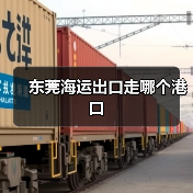 东莞海运出口走哪个港口（图4）