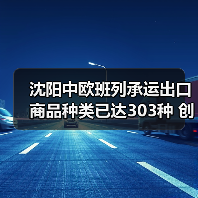 沈阳中欧班列承运出口商品种类已达303种 创历史新高（图4）
