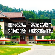 国际空运“紧急货物”如何加急(时效能缩短多少?成本增加多少)(图4) 国际空运“紧急货物”如何加急(时效能缩短多少?成本增加多少)(图4)