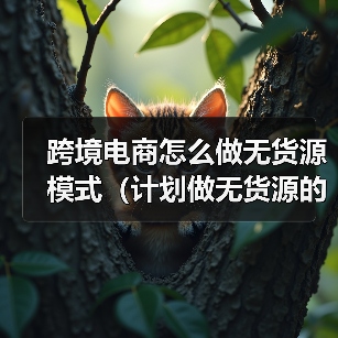 跨境电商怎么做无货源模式(计划做无货源的跨境卖家看过来)(图3) 跨境电商怎么做无货源模式(计划做无货源的跨境卖家看过来)(图3)