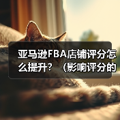 亚马逊FBA店铺评分怎么提升?(影响评分的关键指标是什么)(图4) 亚马逊FBA店铺评分怎么提升?(影响评分的关键指标是什么)(图4)
