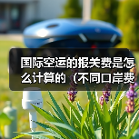 国际空运的报关费是怎么计算的（不同口岸费用一样吗）（图2）