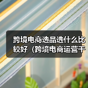 跨境电商选品选什么比较好(跨境电商运营干货知识分享)(图2) 跨境电商选品选什么比较好(跨境电商运营干货知识分享)(图2)