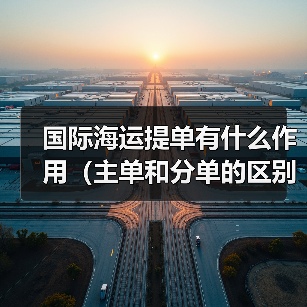 国际海运提单有什么作用(主单和分单的区别是什么)(图2) 国际海运提单有什么作用(主单和分单的区别是什么)(图2)