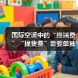 国际空运中的“终端费”“提货费”需要单独支付吗(国际空运干货知识分享)(图3) 国际空运中的“终端费”“提货费”需要单独支付吗(国际空运干货知识分享)(图3)