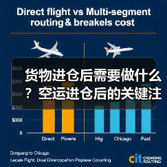 货物进仓后需要做什么?空运进仓后的关键注意事项(图1) 货物进仓后需要做什么?空运进仓后的关键注意事项(图1)