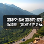 国际空运与国际海运竞争加剧（哪些货物会优先选空运）（图2）