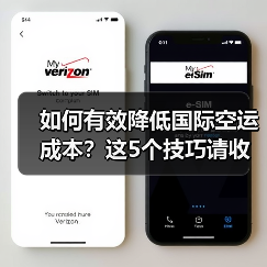 如何有效降低国际空运成本?这5个技巧请收好(国际空运干货知识分享)(图1) 如何有效降低国际空运成本?这5个技巧请收好(国际空运干货知识分享)(图1)