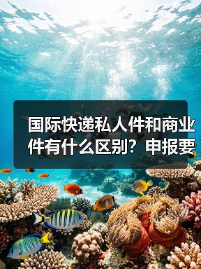 国际快递私人件和商业件有什么区别?申报要求与费用差异(图1) 国际快递私人件和商业件有什么区别?申报要求与费用差异(图1)