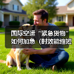 国际空运“紧急货物”如何加急(时效能缩短多少?成本增加多少)(图2) 国际空运“紧急货物”如何加急(时效能缩短多少?成本增加多少)(图2)