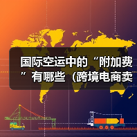 国际空运中的“附加费”有哪些(跨境电商卖家如何避免隐性收费)(图2) 国际空运中的“附加费”有哪些(跨境电商卖家如何避免隐性收费)(图2)