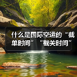 什么是国际空运的“截单时间”“截关时间”?错过有何后果?(图3) 什么是国际空运的“截单时间”“截关时间”?错过有何后果?(图3)