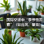 国际空运中“季节性因素”(如台风、暴雪)如何影响航班?(外贸人如何应对)(图4) 国际空运中“季节性因素”(如台风、暴雪)如何影响航班?(外贸人如何应对)(图4)