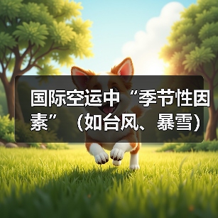 国际空运中“季节性因素”(如台风、暴雪)如何影响航班?(外贸人如何应对)(图3) 国际空运中“季节性因素”(如台风、暴雪)如何影响航班?(外贸人如何应对)(图3)