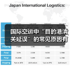 国际空运中“目的港清关延误”的常见原因有哪些?如何解决(图3) 国际空运中“目的港清关延误”的常见原因有哪些?如何解决(图3)